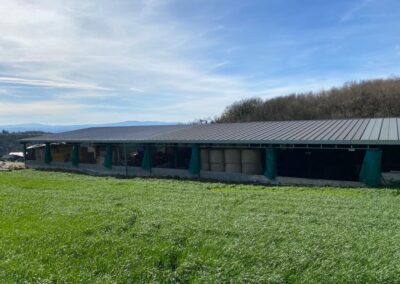 Ganaderia Ferpar O incio